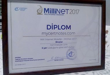 millinet-2017-diplom