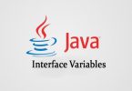 java-interface-variables